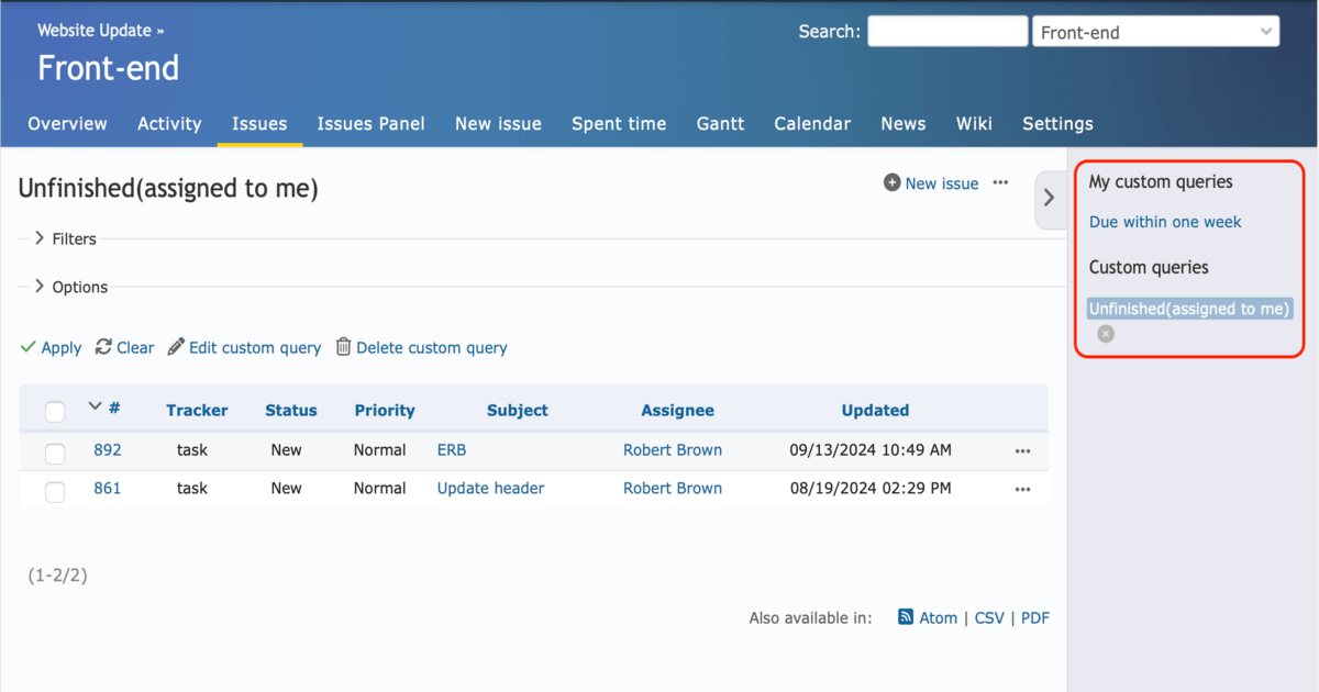Custom Query Options